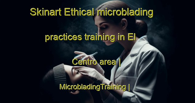 Skinart Ethical microblading practices training in El Centro area | MicrobladingTraining | MicrobladingClasses | SkinartTraining-Puerto Rico
